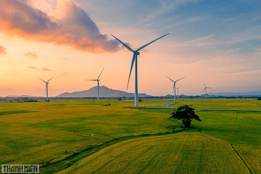 Infrastructure Solutions for Onshore and Offshore Wind Projects